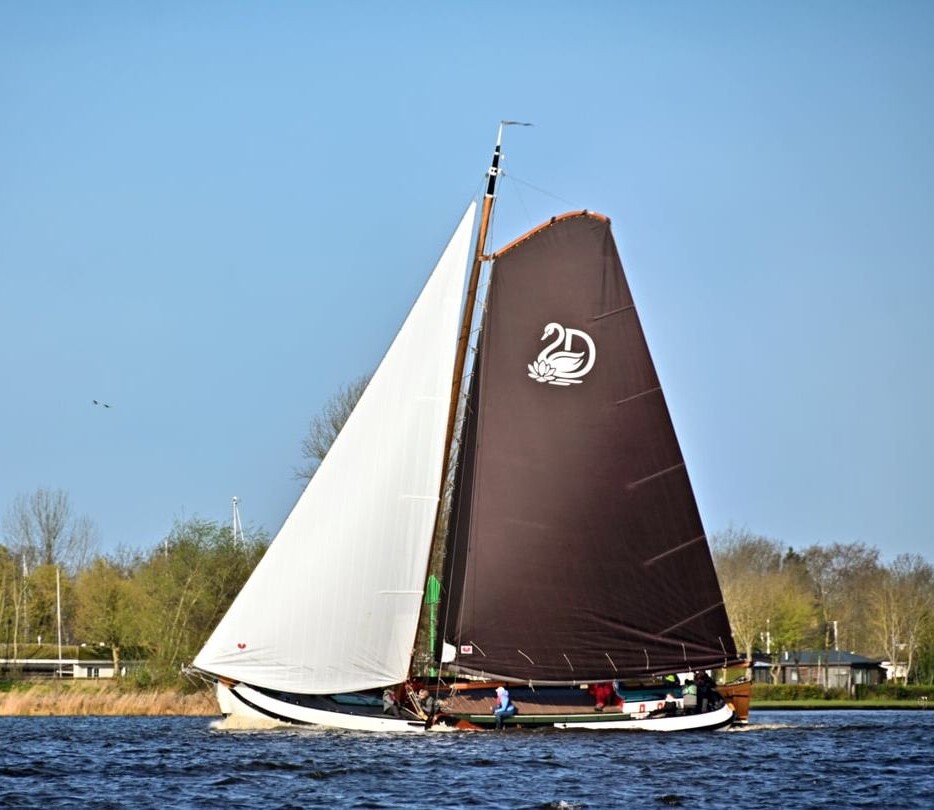 Swanneblom